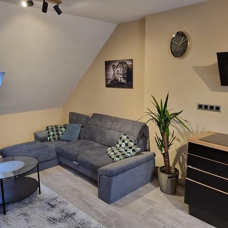 פראג Vltava Design Apartments מראה חיצוני תמונה