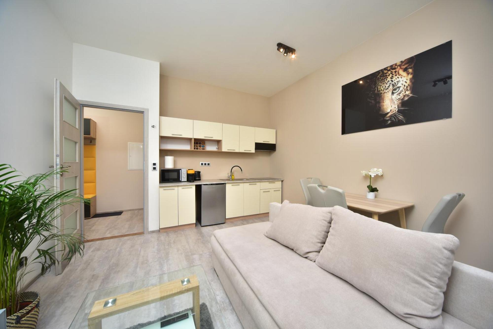 פראג Vltava Design Apartments מראה חיצוני תמונה